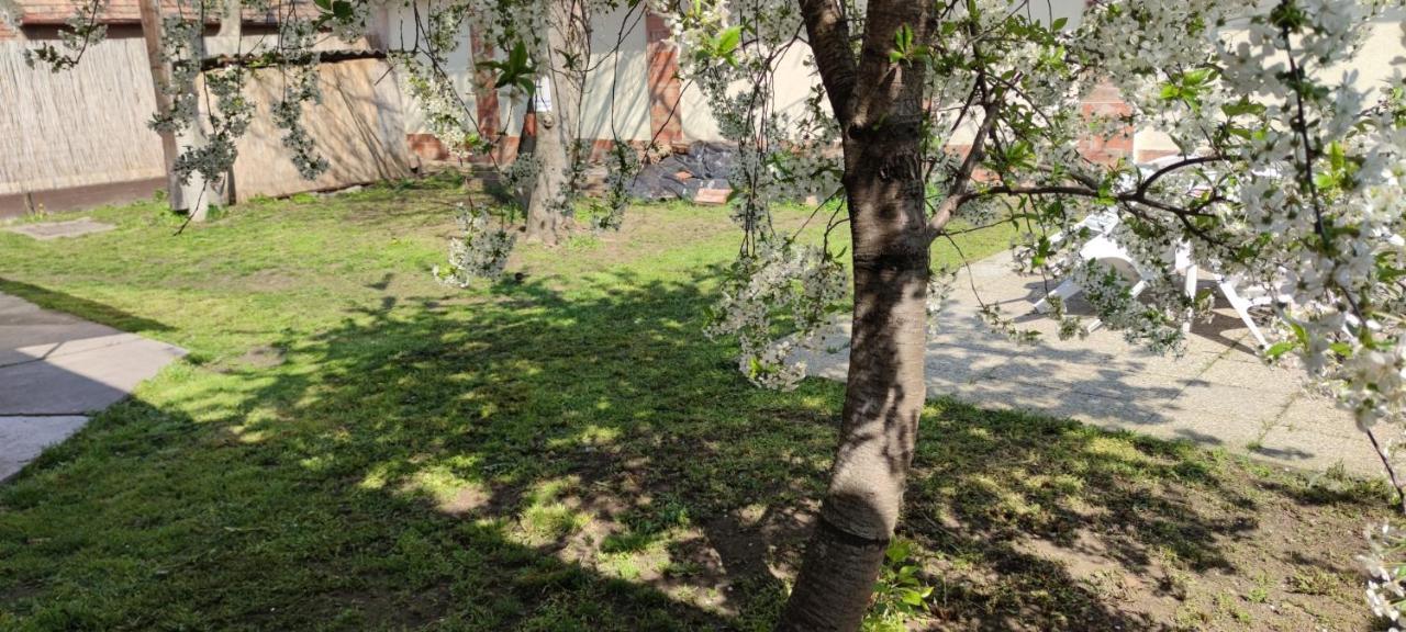 Orsi Apartman / vendegház Kecskemét Exterior foto